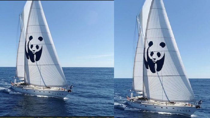 Blue Panda, barca a vela del WWF per la difesa del Mediterraneo a Trieste per l'unica tappa italiana 