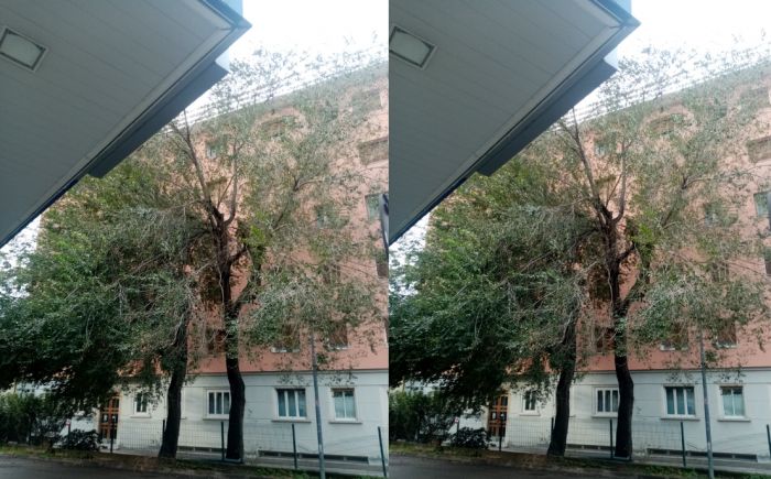 "Albero pericolante vicino al distributore in viale Sanzio a San Giovanni, un pericolo per i lavoratori"