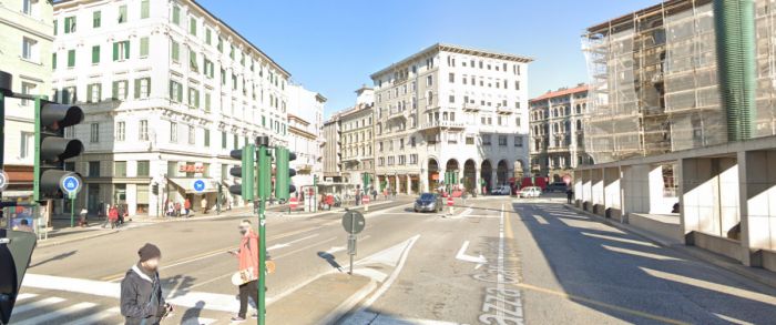 Trieste, gabbiani all’assalto: “mi ha morso il dito, sono finita al pronto soccorso”