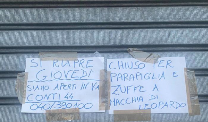 Pescheria in piazza Garibaldi "chiusa per parapiglia e zuffa" a Trieste; curiosità e preoccupazione 