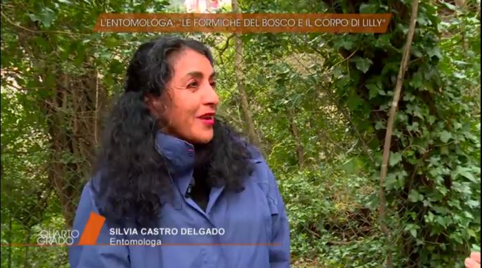 Lilly, la nuova ipotesi dell’entomologa: “Le formiche c’erano, ma non hanno attaccato il corpo”