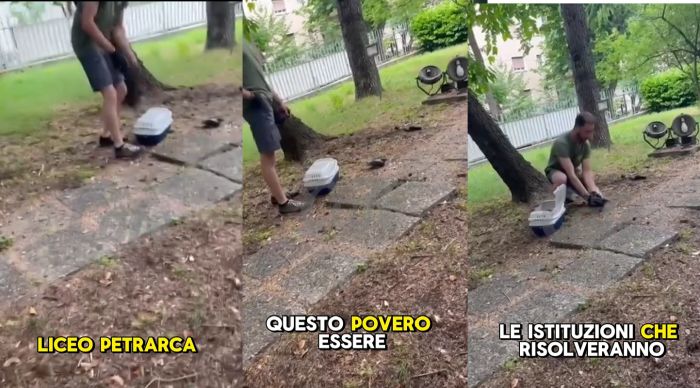 Cucciolo di cornacchia salvata al liceo Petrarca: decisivo l’intervento degli studenti (VIDEO)