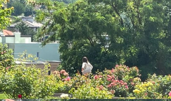 Parco delle Rose, turista tedesca sorpresa a rubare piante: segnalazione furente di un cittadino