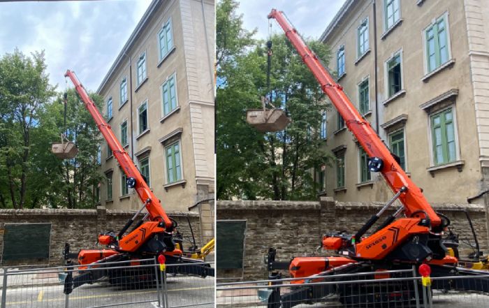 Albero abbattuto alla scuola Sauro-Spaccini: Adesso Trieste attacca il Comune sulla tutela del verde