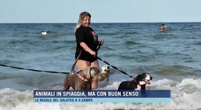 Cani in spiaggia: le regole del galateo per un’estate serena con i nostri amici a quattro zampe