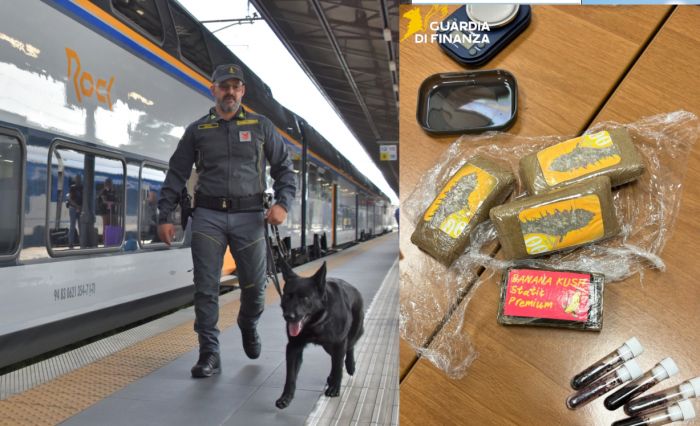 Il fiuto di Kurma non sbaglia: scovato e arrestato con quattro panetti di droga nello zaino