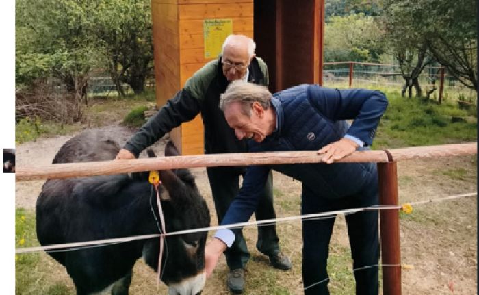 Trieste, nuova capanna per l’asina Nina grazie alla Barcolana Charity ed Enpa
