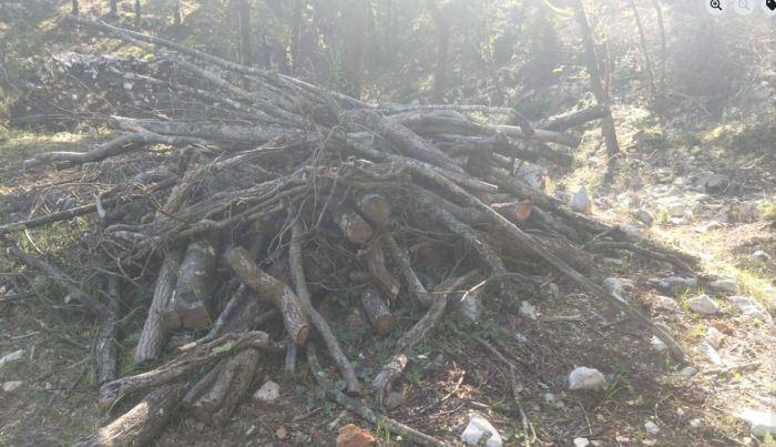 Furto di legna a Sales: “ci hanno rubato due mesi di riscaldamento”