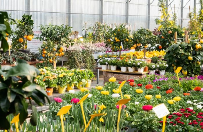 Piantala arriva a Trieste: 15.000 piante, musica, laboratori e design green per tre giorni di esperienza pop