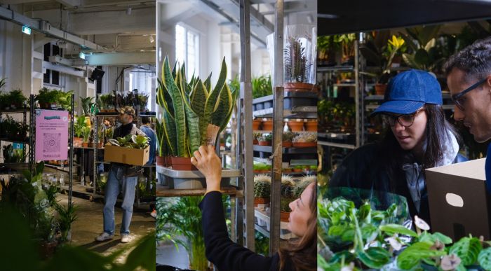 Trieste si trasforma in una giungla urbana: Piantala porta 15.000 piante, yoga e creatività green (VIDEO)