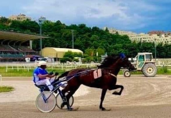 Corse e futuro incerto aLL'ippodromo, Ramazzina: “Decisioni prese a insaputa degli addetti” (VIDEO)