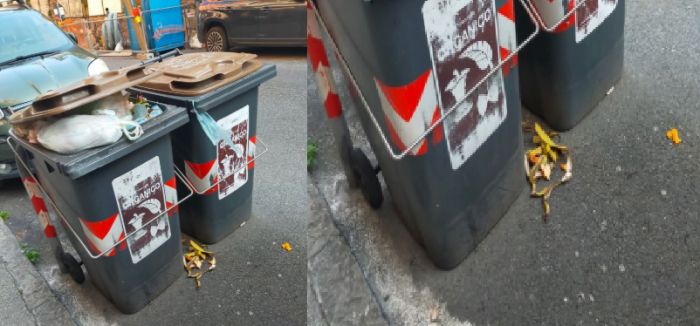 Triestina infuriata per i rifiuti lasciati fuori dai bidoni: “Così la città si sporca da sola”