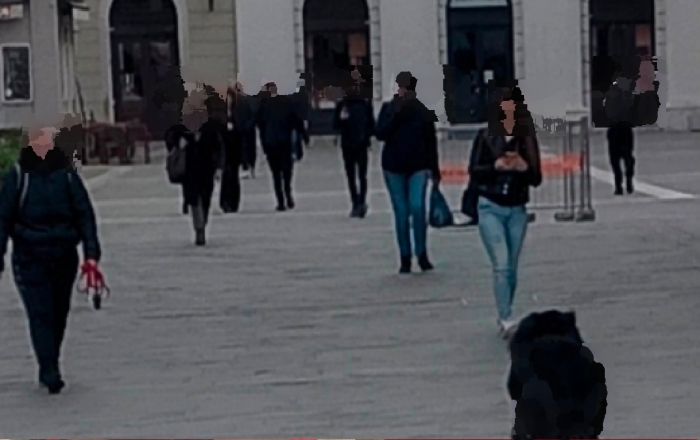 Cani senza guinzaglio e museruola in centro, residenti furibondi: “Ogni mattina la stessa scena” 