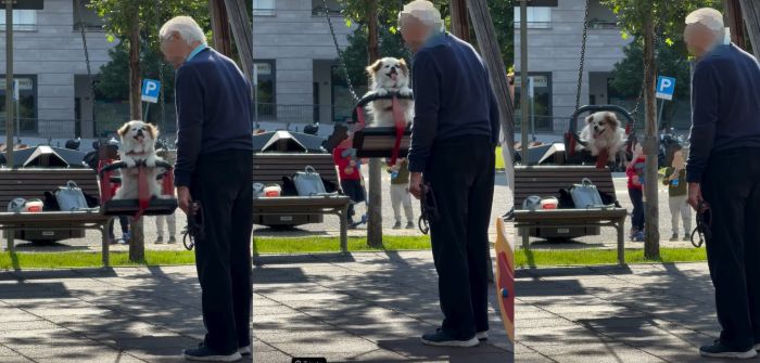 Dolce scena in piazzale de Gasperi: cane sull’altalena conquista tutti “Momento d’amore puro” (VIDEO)