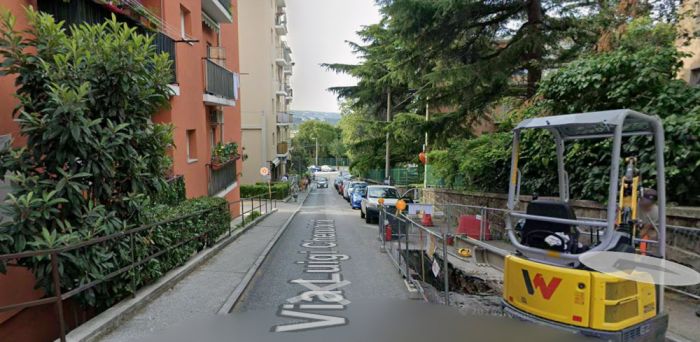 Cane investito in via Cherubini, paura tra i residenti: “colpito in pieno, poi via senza fermarsi”
