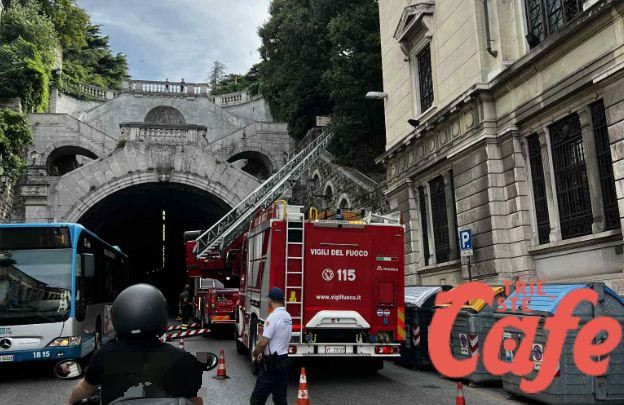 Crolla un albero a Trieste: viabilità in tilt nel cuore del pomeriggio in zona Galleria Sandrinelli