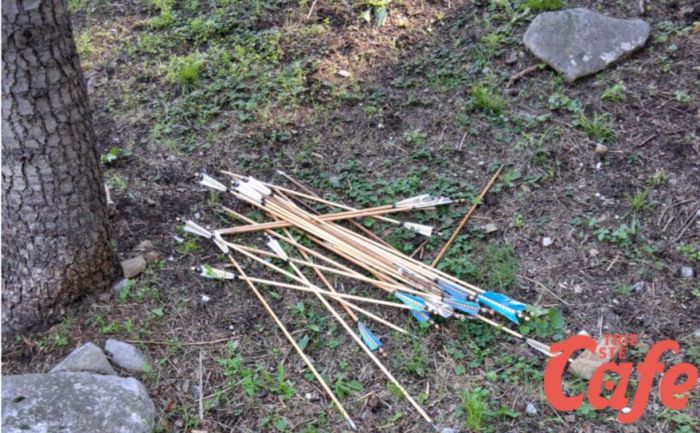 Curioso ritrovamento, frecce da arciere spuntano tra gli alberi del Parco della Rimembranza
