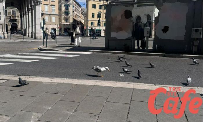 Piazza Goldoni, attacco alle spalle: giovane triestina si vede strappare il panino, "Mi ha ferita ad un dito"
