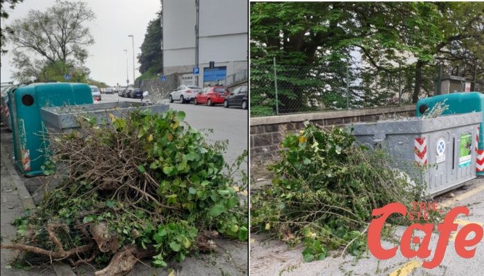 "Via Cantù, abbandonate in strada ramaglie contenenti dei pali metallici di recinzione e rete"