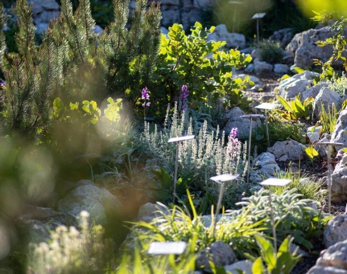 Giardino Botanico Carsiana, sospensione temporanea delle aperture al pubblico