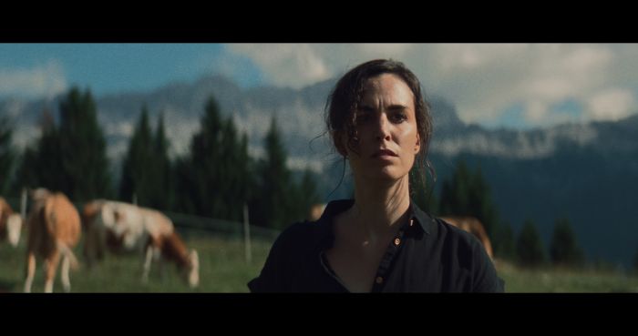 Cinema Ariston,  una settimana all'insegna di produzioni emergenti, intramontabili classici e grandi cult 