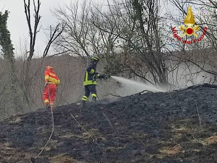 Incendio di sottobosco a Clauzetto, intervento dei Vigili del Fuoco