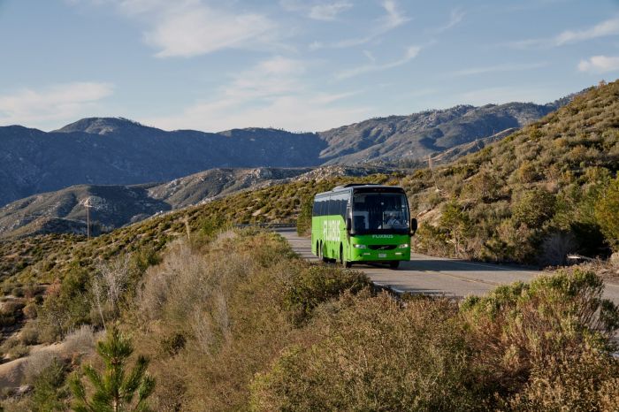 Trieste. Per Pasqua, FlixBus potenzia il servizio verso oltre 60 destinazioni in dieci Paesi europei