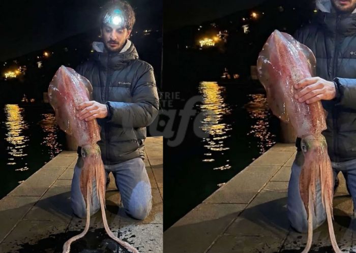 Pescato calamaro oceanico nelle acque di Grignano dopo oltre un'ora di combattimento 