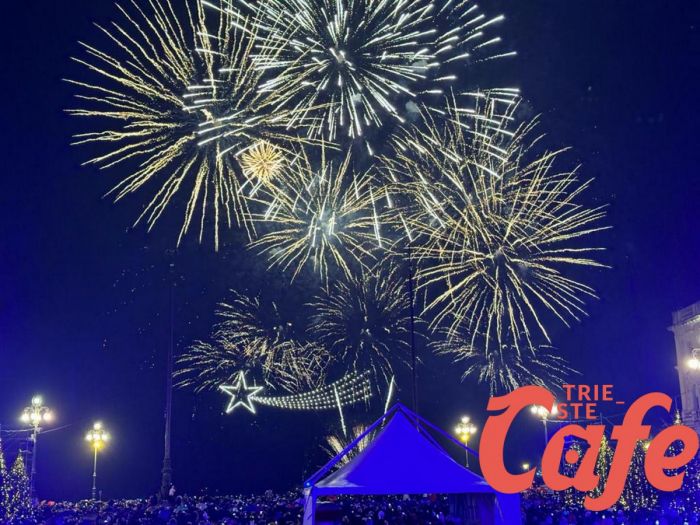 Fuochi d'artificio a Trieste, Animalisti: “Capodanno sotto le stelle o sotto le esplosioni?” 