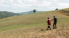 Il TACT Festival giunge al termine, il saluto finale con lo spettacolo "Abitare la Terra"