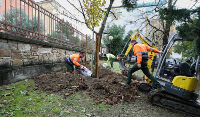 Giornata Nazionale degli Alberi: due nuovi alberi piantati in ogni circoscrizione, dedicati ai nuovi nati del 2025