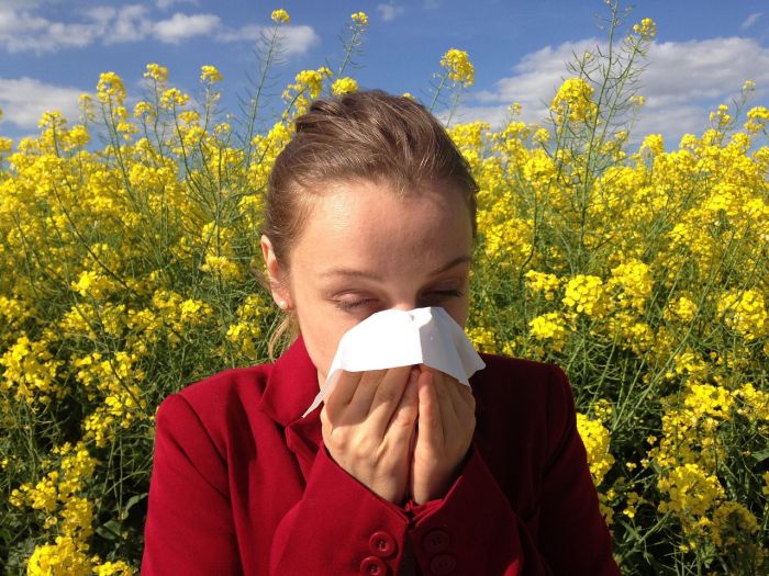  Voce a rischio con l'arrivo anticipato dei pollini per il 15% degli allergici