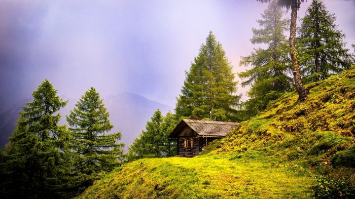  In Austria un progetto per scongiurare la scomparsa delle aziende agricole