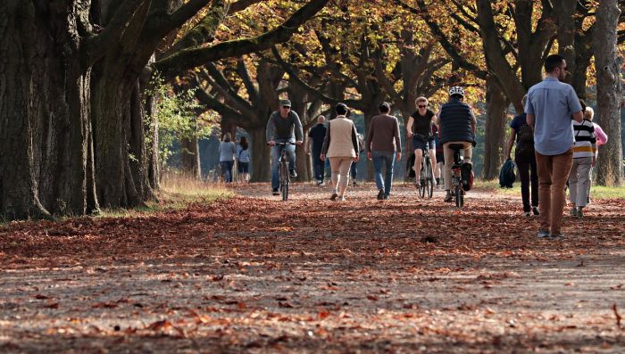 Chiusura giardini pubblici causa meteo: dal primo pomeriggio di domani