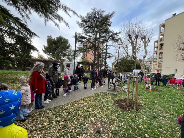 Verde pubblico e polemiche su alberi, Babuder: “Oltre 300 piantumazioni nel 2026” (VIDEO)