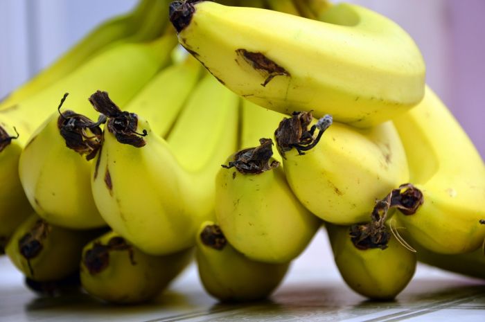 Fvg, torna l'amata gara cult delle mangiatrici di banane: il pubblico è già in delirio