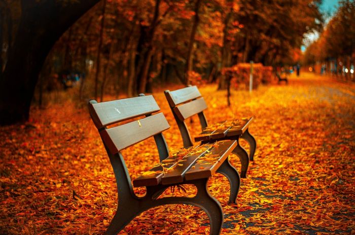 Ultima settimana d'estate, poi irromperà l'autunno