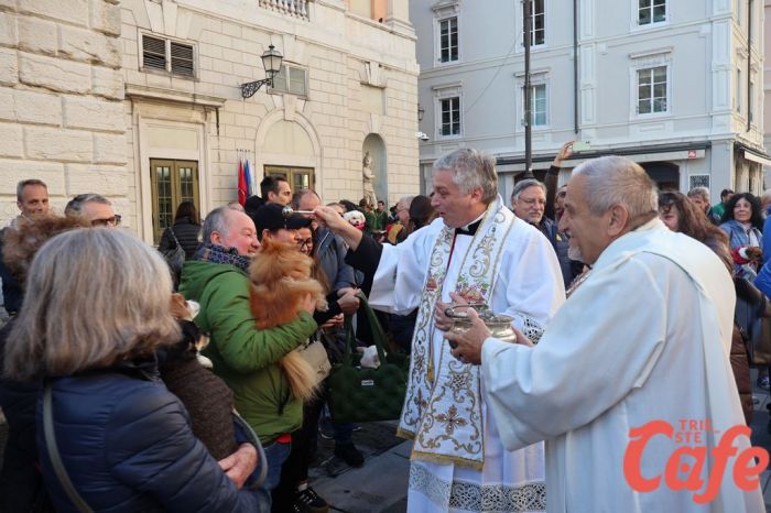 Piazza Verdi gremita per l’Animal Festival: Trieste celebra la Benedizione degli Animali (FOTO - VIDEO)