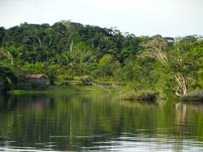 Amazzonia: denunciò la deforestazione all'Onu, trovato morto