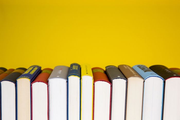Hortis Book Market, libri in vendita fino al 16 giugno per il Bloomsday 2025