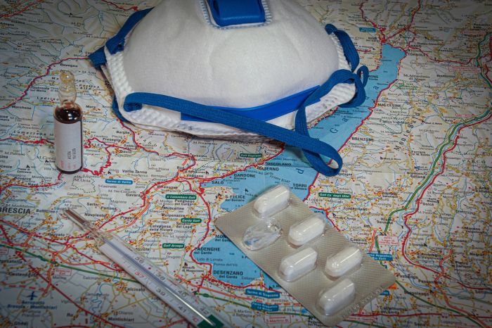 Organizzazione panamericana della salute lancia allarme su diffusione febbre Oropouche