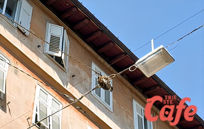 Trieste, allarme api a Roiano: “Alveare sui fili e insetti sull’asfalto, attenzione alla zona”