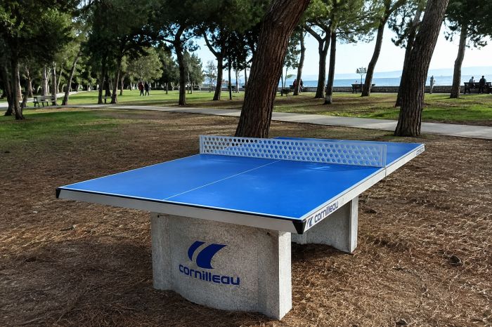 Pineta di Barcola, arriva il nuovo tavolo da ping pong: “piccole cose ma utili per tutti” (VIDEO)