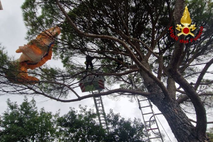 Duino Aurisina, spettacolare salvataggio a dieci metri d’altezza: parapendista salvato dai Vigili del Fuoco