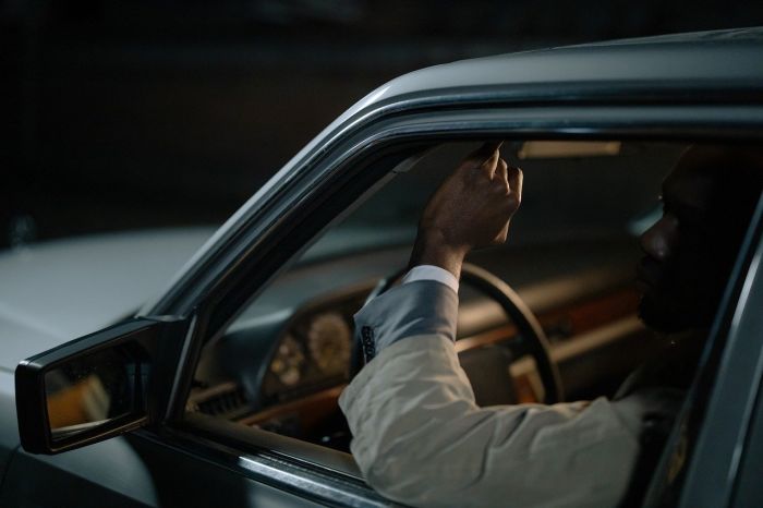 Cervello, individuati i neuroni responsabili del mal d'auto