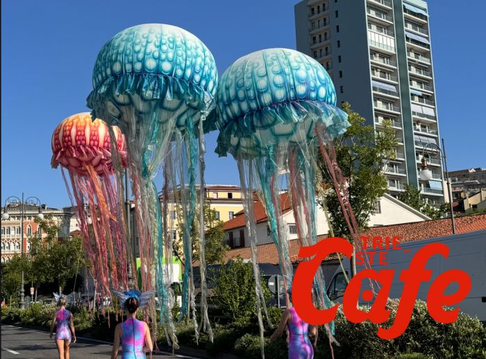 "La Sfilata della Bora": la proposta folle di un gruppo di giovani triestini per un Carnevale da urlo! 