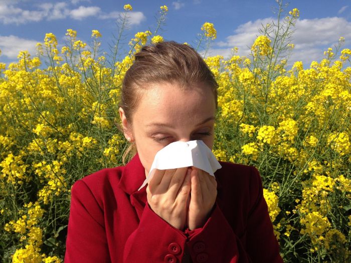 Allergie primaverili, cause, sintomi e rimedi per affrontarle al meglio