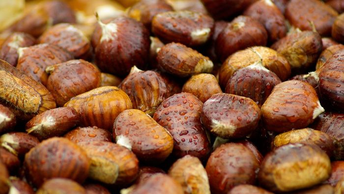 Caldo: Coldiretti, produzione italiana castagne scende al di sotto dei 45 milioni di chili