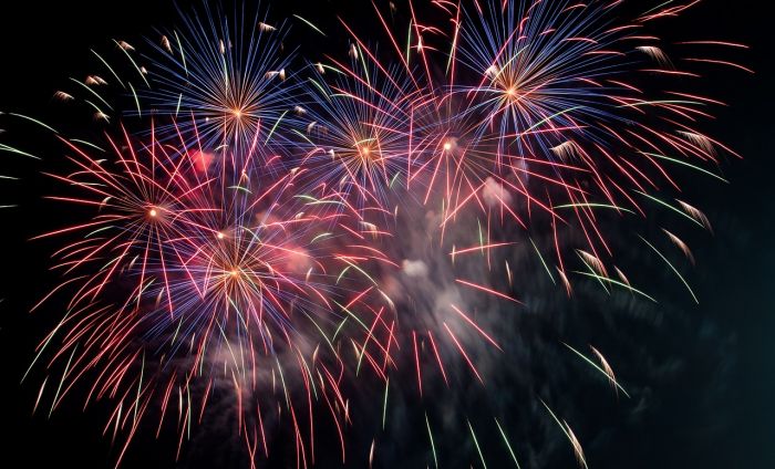 Triestina: "Basta Capodanno, basta fuochi d'artificio, basta tutto. Tuteliamo i CANI!!"