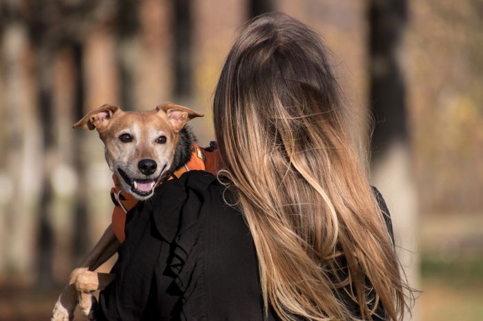 Triestina: "Non tutti i cani vogliono coccole, insegnate ai vostri figli a comportarsi con rispetto!"